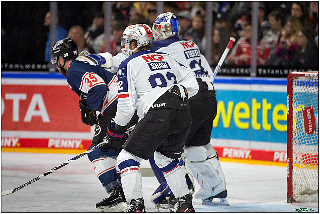 PENNY DEL; Koelner Haie- Nuernberger Ice Tigers; Koeln, 29.01.2023